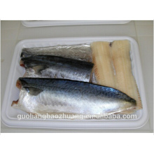 Eco Friendly Alibaba Golden Supplier Custom Design Disposable Plastic Fish Tray